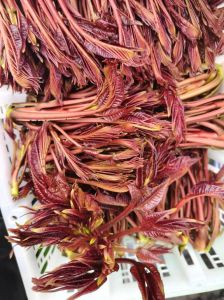 鲜香椿芽的保存方法_香椿芽加盐小苏打泡，焯水后冷冻能放一年