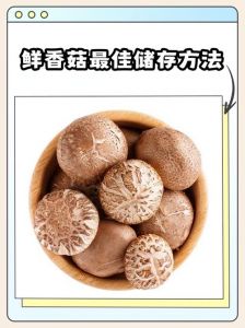 香菇有几种家常做法_香辣开胃 营养家常