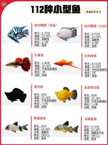 热带淡水鱼是冷水观赏鱼吗_热带冷水鱼怎么养？