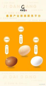 绿壳和粉壳鸡蛋区别_绿壳蛋营养高但贵，选蛋看新鲜日期和摇晃