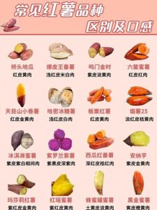红薯红苕的区别_南北风味大不同