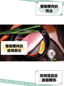 猪肉前槽是不是好肉_淋巴结多，适合剁馅煲汤