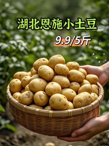 土豆嘎吱嘎吱熟了吗_熟土豆发嘎吱声易断，筷子戳锅铲压都行
