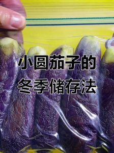 生冻茄子能煮熟吗_冷冻茄子怎么保存和做菜？