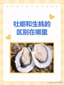 牡蛎与生蚝是一种东西吗_牡蛎生蚝有啥区别？生吃熟吃看这里！