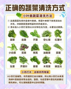 鸡毛菜怎么处理_清爽易做，营养家常菜