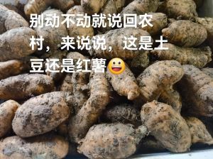 地瓜山芋洋芋红薯有什么区别_红薯山芋地瓜有不同，营养口感各千秋
