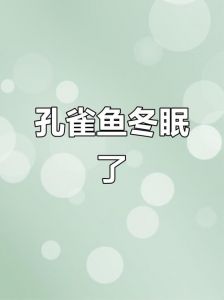 鱼在寒冷的冬天会冬眠吗_冬天鱼儿蛰伏深水，不冬眠但变懒