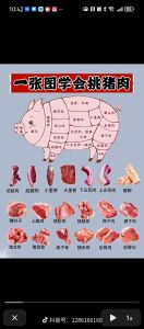三号肉是猪肉的哪个部位_猪肉部位分编号，三号肉带筋膜炖炸佳