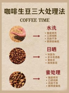 烘焙生咖啡豆正确方法_选好豆，控好温，品好味