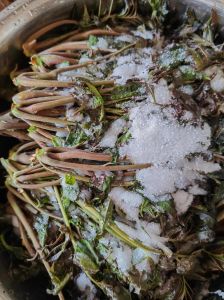 盐腌香椿的做法大全_选粗梗红香椿，揉盐腌瓶存，炒蛋拌面香