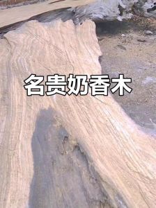 奶香木放的没味了是不是假的_奶香木鉴别真假，香气持久看环境加工