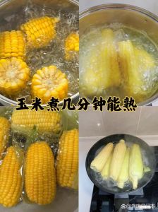 熟冻玉米的正确煮法_冻玉米冷水煮，熟冻玉米快加热