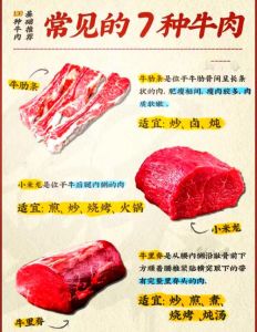 牛肉做馅儿哪个部位好_不同部位口感风味，教你做美味饺子包子！