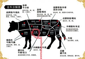 肥胓是牛哪个部位的肉_肥瘦相间，涮12秒嫩滑香浓