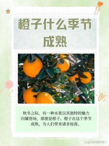 12月江西橙子熟了吗_赣南脐橙12月最佳赏味期，甜过初恋！