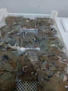 鳊鱼咋看有没有鱼籽_营养美味，做法多样