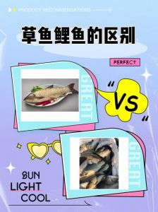 草鱼 鲤鱼 青鱼 鲢鱼区别_四大家鱼刺多少？鲢鱼相对少
