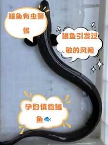 白鳝与海鳗的区别_外观习性栖息地大不同