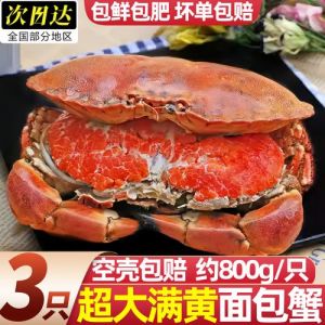 冰鲜面包蟹的做法大全_清蒸鲜甜，香辣酥脆，芝士焗美味！