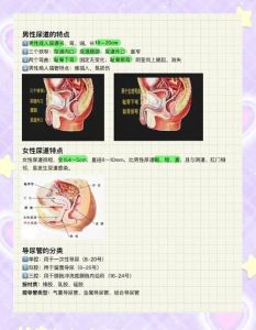 剖宫产床上尿盆使用方法_卧床患者使用尿盆的正确方法
