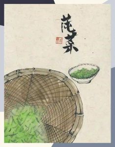莼菜做法大全家常_凉拌莼菜滑嫩鲜美