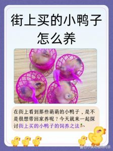 狗仔鸭的制作方法_怀旧陈皮狗仔鸭，香醇美味难忘怀
