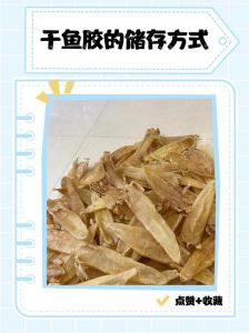 发干鱼胶最简单的方法_鱼胶清洗泡发去腥小窍门