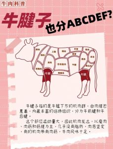 牛杂部位图片大全图解_部位不同，风味各异