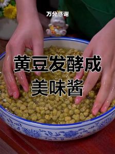 发酵酱豆的制作方法_黄豆品质与发酵秘籍