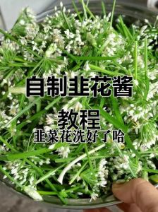 酱韭菜的做法大全_酱香韭菜盒子，营养美味，简单学！