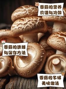 香菇切片煮多久能熟_香菇怎么煮？鲜干时间看这里！