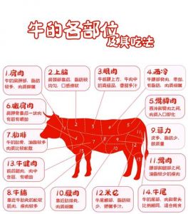 正宗牛胸膘是牛的什么部位_肥瘦相间口感佳，烹饪多样营养高