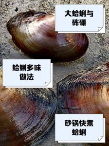 熟蛤蜊能第二天吃吗_隔夜蛤蜊有风险，勿食！