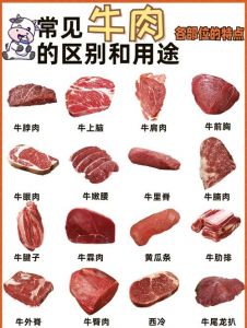 牛腩哪个部位筋多图片_牛腩部位多，各有所长，教你挑好肉！