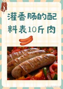 灌肠配料和制作方法_自制五香灌肠，独特风味，动手乐趣，美味超赞！