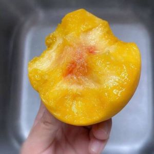 美食文化类——蜜桃产品一二三产区的区别详解：产地特性与品质口感的深度解析