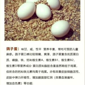 鸽子蛋和葡萄干大小对比图_鸽子蛋营养高，补脑益智，适合全家