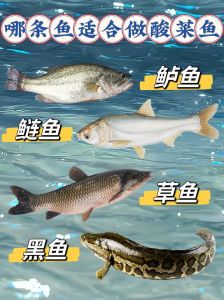 花鲢与白鲢胖头鱼的区别_花鲢白鲢怎么分？
