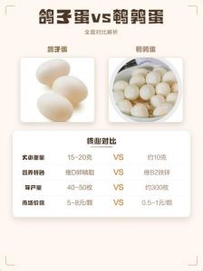 鸽子蛋鹌鹑蛋大小对比_大小营养怎么选？
