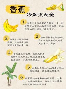 香蕉是什么性的水果：了解其食材特性与营养价值