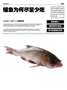 鳙鱼鲢鱼哪个刺多_有益小刺多，剔除食用需小心