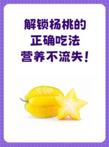 国产蜜桃免费观看入口jk的美味体验与食材特点介绍