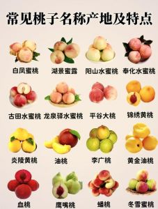 蜜桃国精产品二三三区特色介绍及美食文化探索