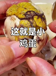 煮熟的鸡蛋孵出小鸡_河南校长称熟鸡蛋返生孵化，科学界哗然质疑