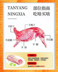 羊腰子是羊的哪个部位_高蛋白温补，食用有讲究