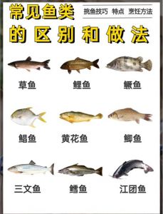 鲢鱼和草鱼的区别是什么_区别与做法