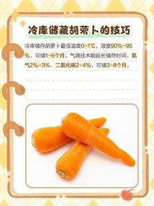 胡萝卜切开一半后怎样保存_冷藏冷冻干燥腌制各有妙招