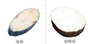 真鳕鱼和油鱼的区别_真假鳕鱼怎么分？看体型颜色查标签！
