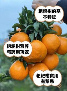 橘子一般在哪个季节成熟_橘子啥时候熟？分品种和地方！